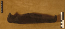 Falkenmumie aus der Tiernekropole von Tuna el-Gebel.