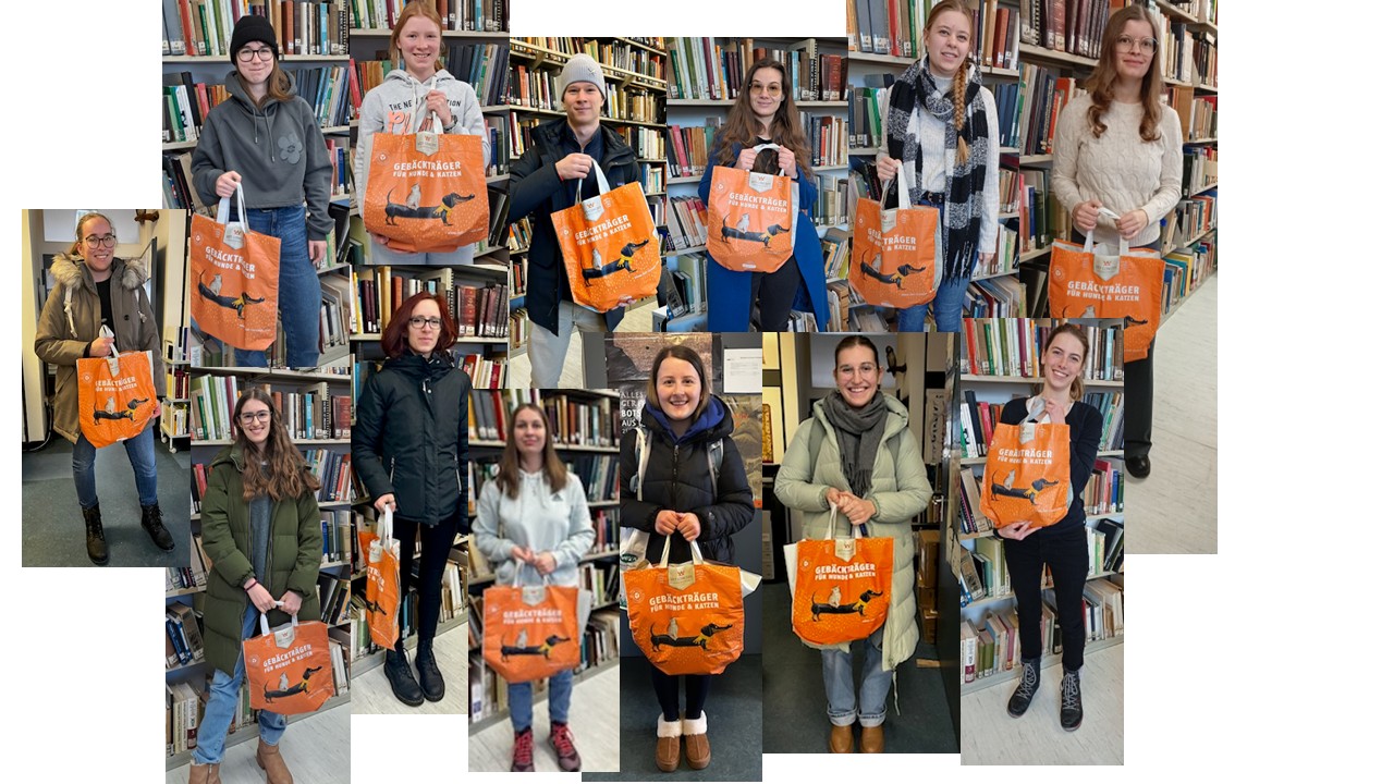 Adventskalender Gewinner Collage für Website 2025